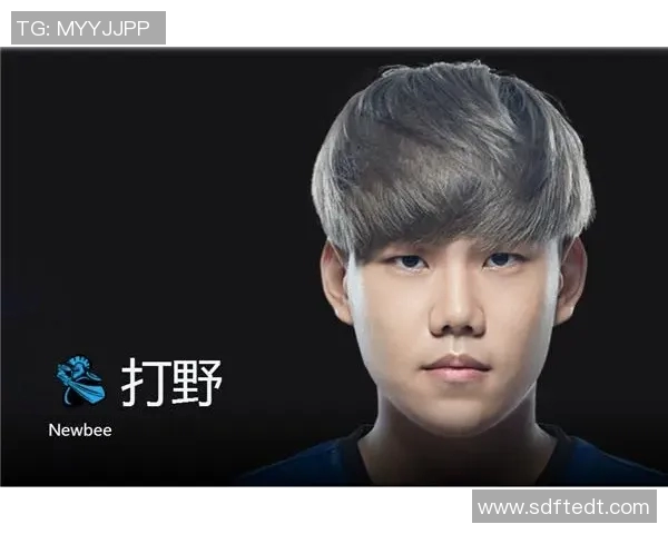 深入探讨JDG战队在赛事中的节奏表现与数据分析结果