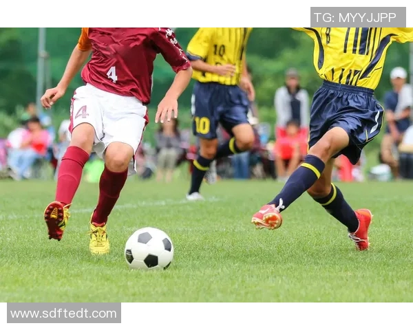 深圳足球队战术争议引发热议球迷与专家各执己见探讨未来发展方向