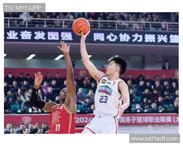 南京篮球队的实力分析与未来发展展望探讨