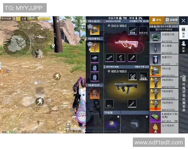 和平精英战场上的速度与策略分析WE战队的表现与启示