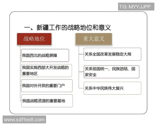 成都极限运动队运营分析与反思探讨极限运动发展的机遇与挑战