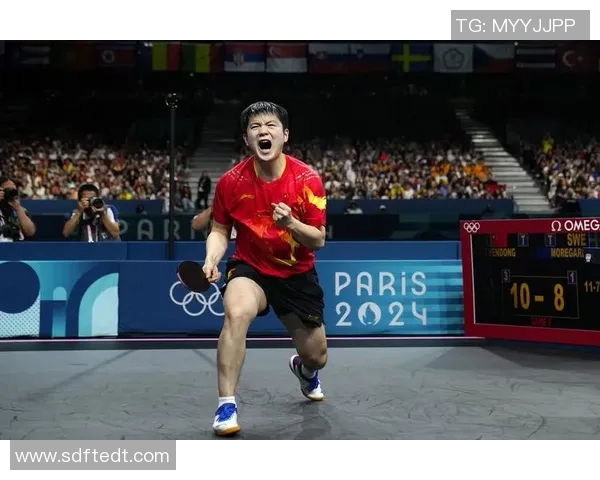 杭州乒乓球队在世界杯预选赛中的奋斗与突破之路全景回顾