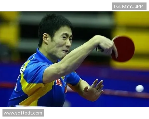 从零基础到高手之路乒乓球个人能力全面提升指南