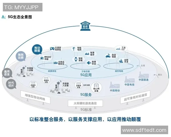 上海足球队转型之路的挑战与机遇全景解析